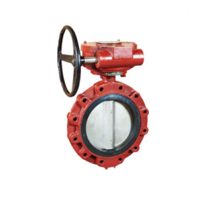 marine center pivoted flanged worm manual butterfly valve fc type