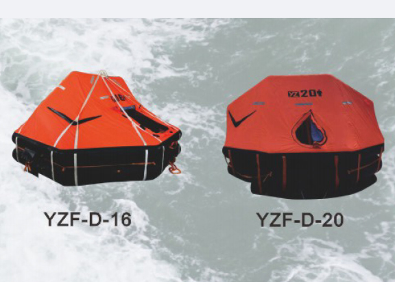 d type davit launched life raft