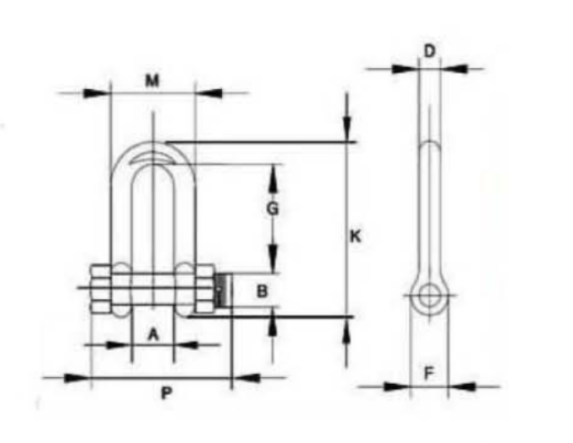 Bolt Type D Shackle - Marine Chain Shackles