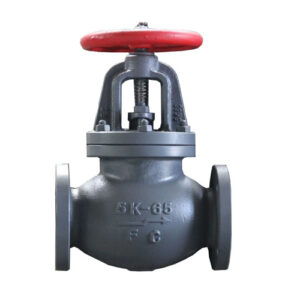marine jis f7353 5k cast iron globe valve (sdnr)
