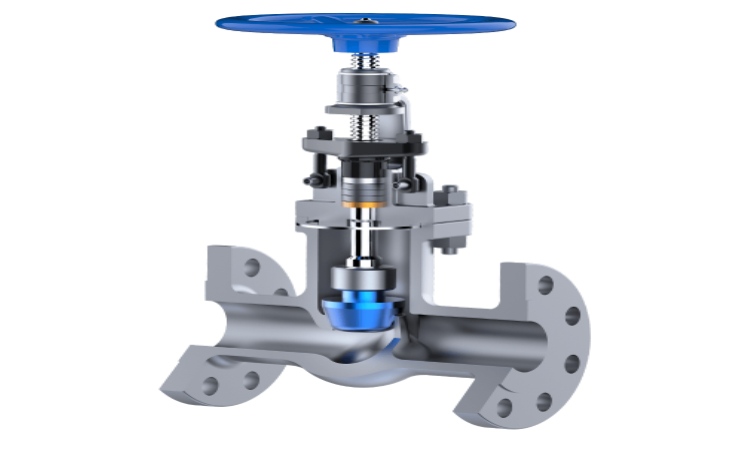 marine globe valve overview